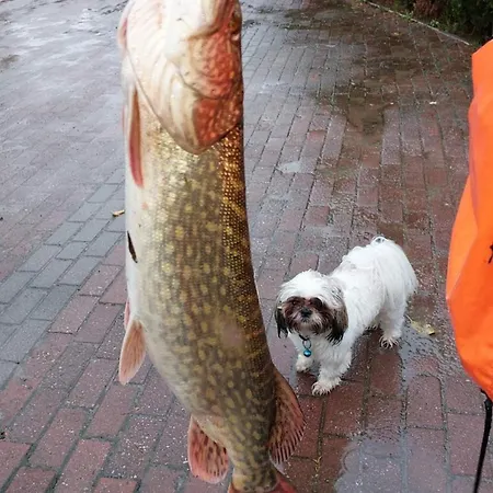 Kwatera prywatna Magiczne Miejsce Na Kaszubach Kartuzy