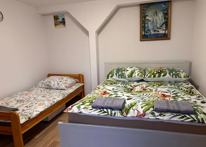 Magiczne Miejsce Na Kaszubach * Kartuzy