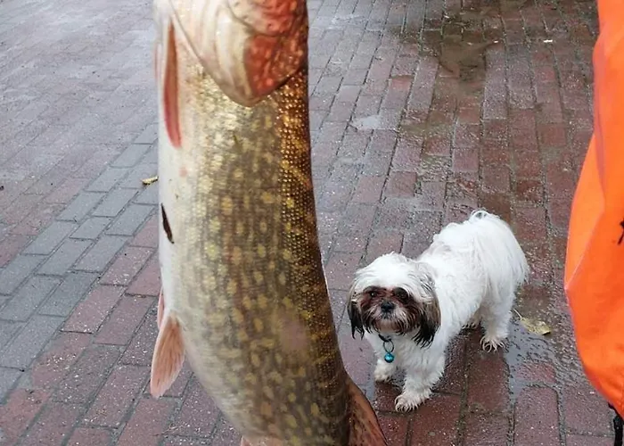 Alloggio in famiglia Magiczne Miejsce Na Kaszubach Kartuzy